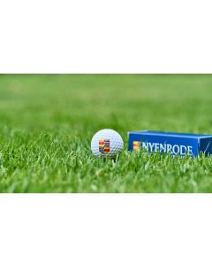 Set Golfballs Nyenrode Coat of Arms 3 pieces